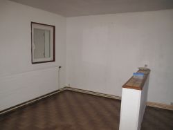miniature